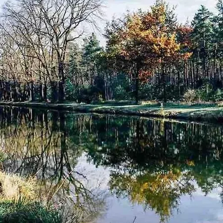 Wunderwohnung In - Nurnberg Messenahe Und Frankisches Seenland Apartamento Wendelstein